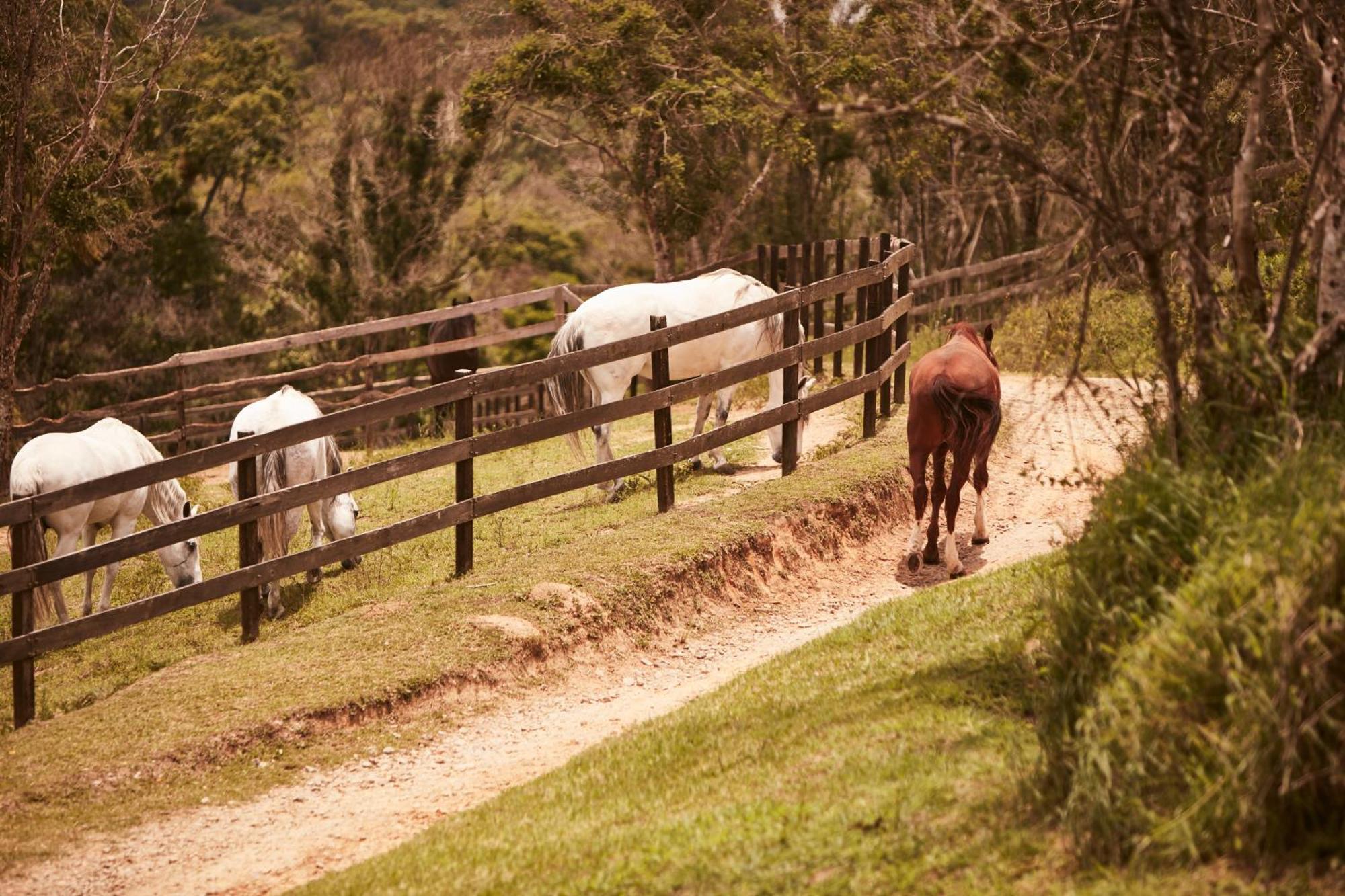 Hotel Fazenda Morros Verdes Ecolodge Ibiúna 외부 사진