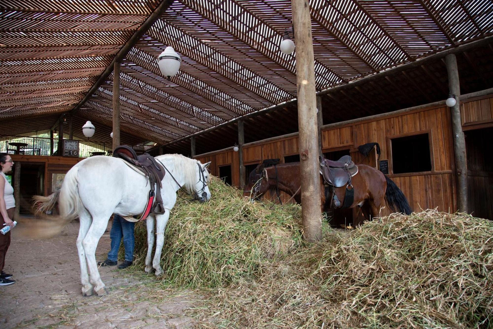 Hotel Fazenda Morros Verdes Ecolodge Ibiúna 외부 사진