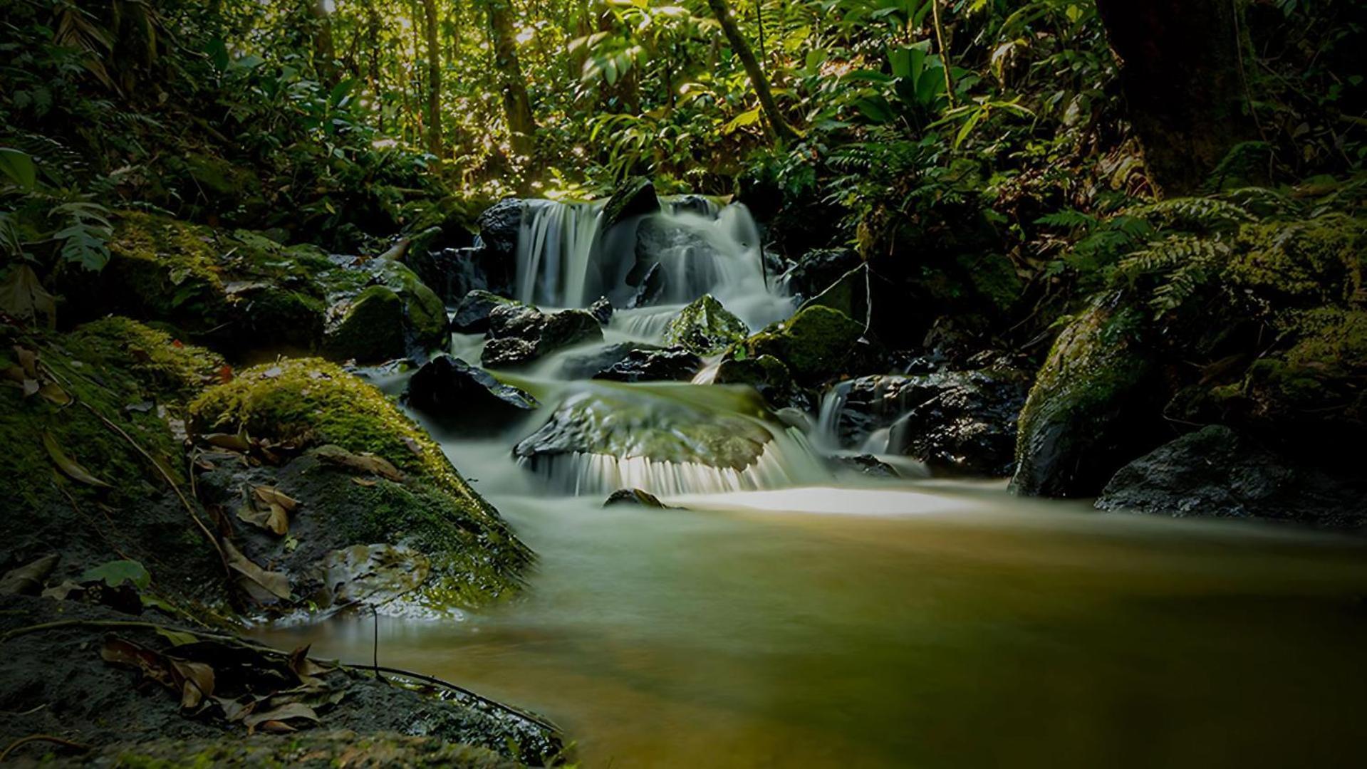Hotel Fazenda Morros Verdes Ecolodge Ibiúna 외부 사진